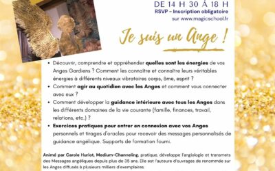 La LUMIÈRE DES ANGES – conférence à Montargis avec Magic School