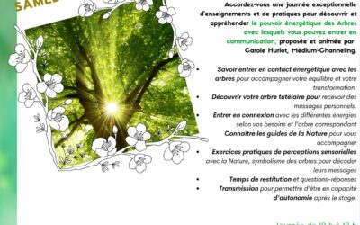 Stage Communication avec les Arbres – 26 juillet – TOURS (Rochecorbon)