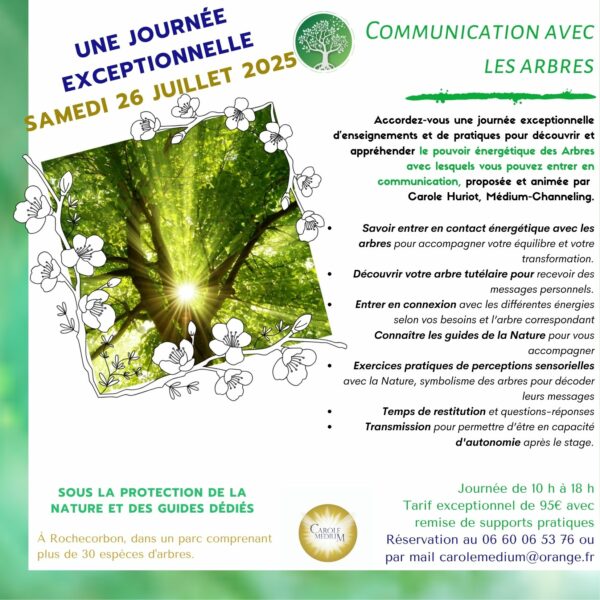 Communication avec les arbres, énergie des arbres