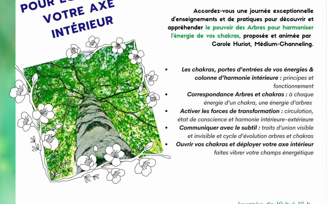 1 journée avec les Arbres pour équilibrer les chakras