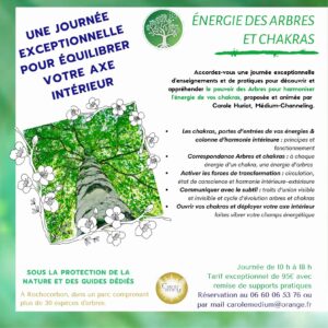 stage energie des arbres